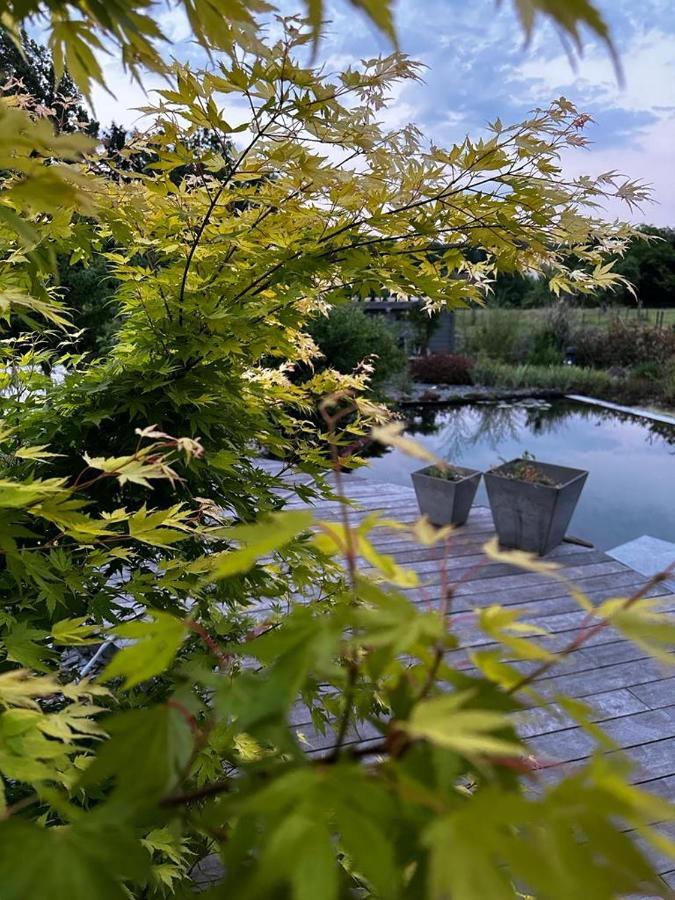 Bed and Breakfast O Nature Grez-Doiceau Экстерьер фото